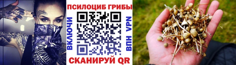 мега сайт сайты даркнета формула Псилоцибиновые грибы MAGIC MUSHROOMS Ардатов